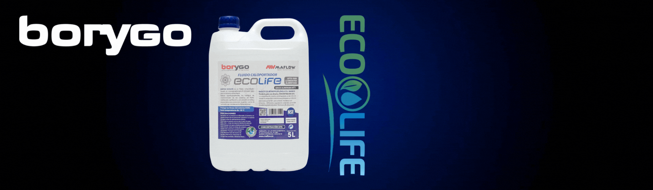 Slides Web Maflow (2)